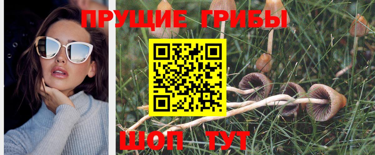 Галлюциногенные грибы мицелий Кольчугино