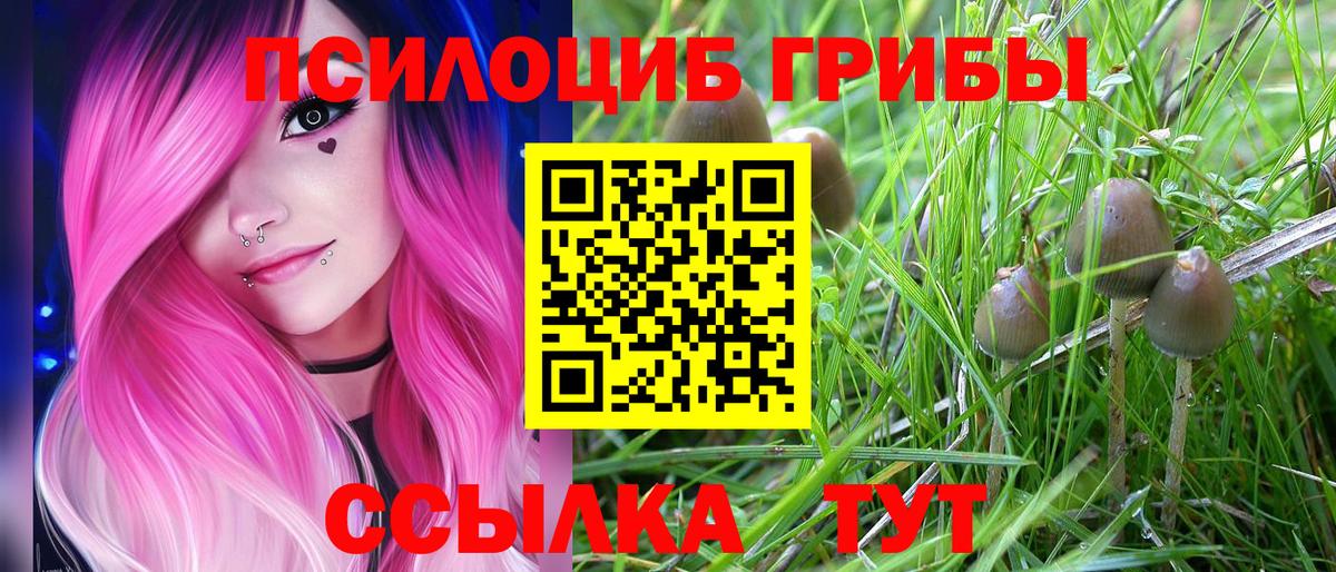 Псилоцибиновые грибы Magic Shrooms  наркотики  Кольчугино  Вход с VPN 